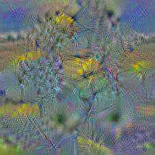 n11879895